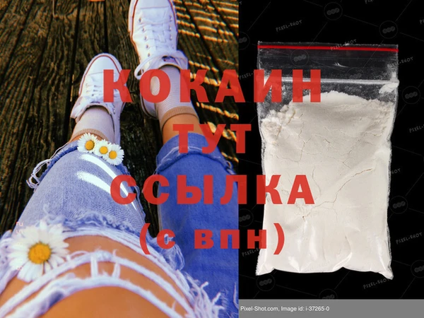 шишки Кулебаки