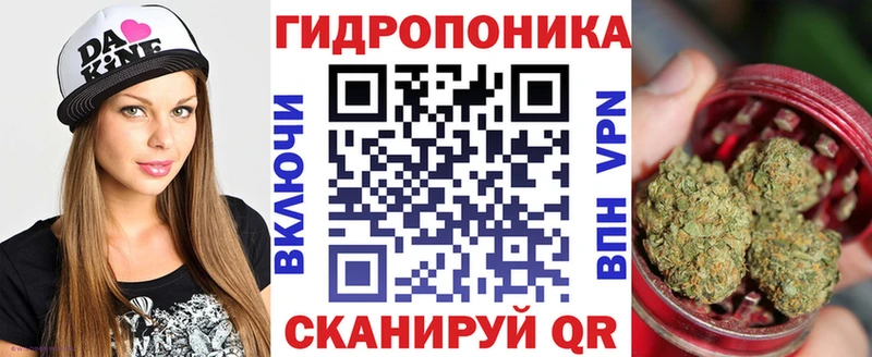 kraken tor  Оханск  Каннабис планчик 
